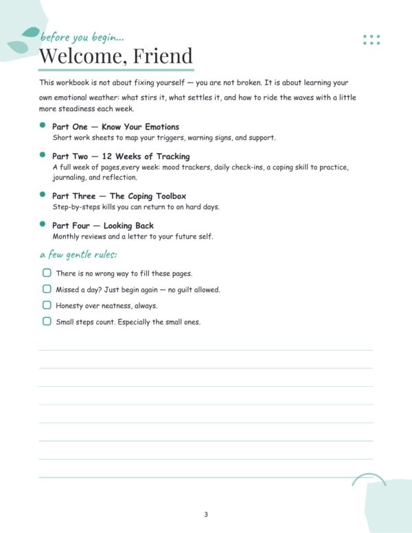 3 Emotional Regulation Workbook