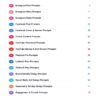 2 Social Media Design Prompt Planner