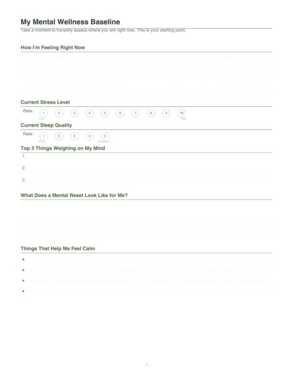 3 Mental Reset Journal
