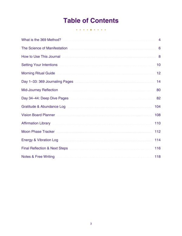 3 369 Manifestation Journal