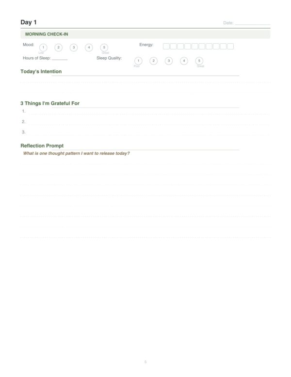 5 Mental Reset Journal