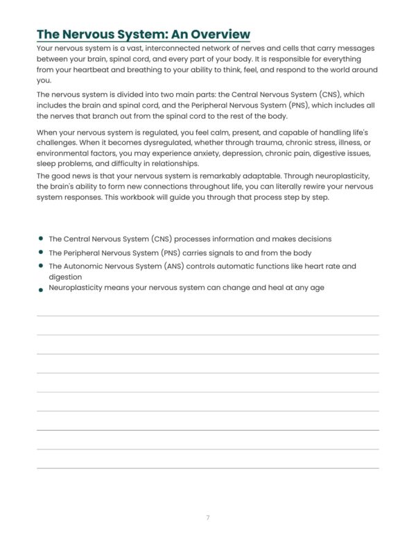 Nervous System Regulation Workbook